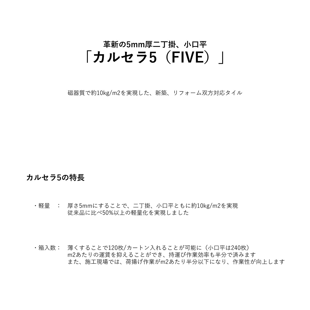 カルセラ5説明-1p