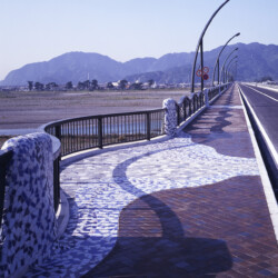 クラッシュタイイル-静岡-10