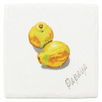 97角-hy-021gw_Sパパイヤ